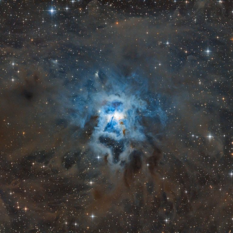 NGC 7023 – Iris Nebula