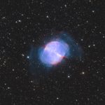 Grigore Stefan Cristian